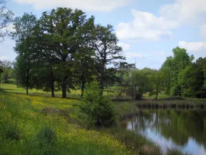 Landschaften vom Limousin - Teich, wild wachsende Blumen, Bäume und Wolken im Himmel, in der Basse-Marche