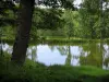 Landschaften vom Limousin - Teich, Blumen und Bäume