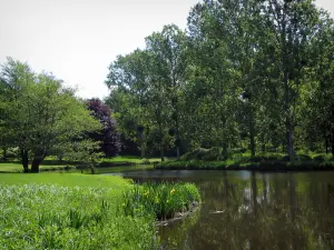 Landschaften vom Limousin - Wasserausdehnung, Blumen, Wiesen und Bäume