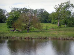 Landschaften vom Limousin - Teich, Wiese und Bäume, in der Basse-Marche
