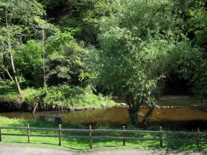 Landschaften vom Limousin - Schranke aus Holz, Ufer, Fluss und Bäume