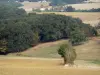 Landschaften des Lot-et-Garonne - Äcker und kleiner Wald