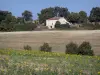 Landschaften des Lot-et-Garonne - Blühende Sonnenblumen, Acker, Haus und Bäume