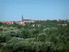 Landschaften des Lothringen - Bäume (Wald), Häuser und Kirche eines Dorfes