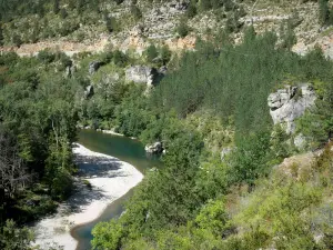 Landschaften der Lozère - Schluchten des Tarn - Nationalpark der Cevennen: Fluss Tarn, Bäume und Felswände