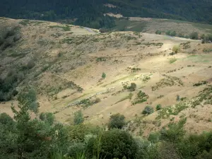 Landschaften der Lozère - Nationalpark der Cevennen: Landschaft des Cevennen-Gebirges