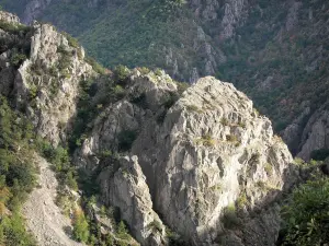 Landschaften der Lozère - Schluchten des Chassezac - Nationalpark der Cevennen: Pflanzenwuchs und Felswände der Granitschluchten