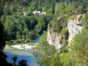 Landschaften der Lozère - Schluchten des Tarn - Nationalpark der Cevennen: Felswände und Fluss Tarn gesäumt von Bäumen