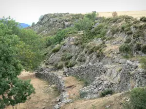 Landschaften der Lozère - Nationalpark der Cevennen: Mäuerchen aus Bruchstein, Fels und Pflanzenwuchs