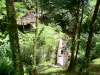 Landschaften der Martinique - Regionaler Naturpark der Martinique: Steg im Herzen des tropischen Waldes führend zu dem Wasserfall Saut-Gendarme