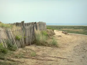 Landschaften der Normandie - Sand-Allee die zur Bucht des Mont-Saint-Michel führt