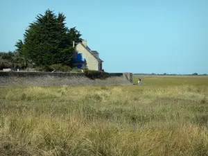 Landschaften der Normandie - Haus mit Blick auf die Bucht Veys