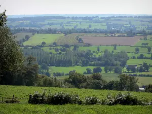 Landschaften der Normandie - Vom Mont-Robin aus, Blick auf die umliegenden Bäume, Wiesen und Felder