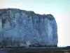Landschaften der Normandie - Felsen der Küste Alabaster