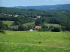 Landschaften des Périgord - Wiese bestreut mit Wiesenblumen, Feld mit Strohballen, Häuser, Bäume und Wald