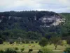 Landschaften des Périgord - Felsen, Bäume und Feld mit Strohballen, im Tal der Vézère