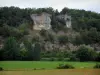 Landschaften des Périgord - Felsen, Bäume und Felder, im Tal der Vézère