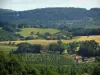 Landschaften des Périgord - Bäume, Häuser, Felder und Wald