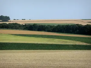 Landschaften der Picardie - Aufeinanderfolge von Äckern