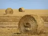 Landschaften der Picardie - Heuballen auf einem Acker