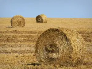 Landschaften der Picardie - Heuballen auf einem Acker