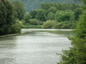 Landschaften der Picardie - Marne-Tal: Fluss Marne gesäumt von Bäumen