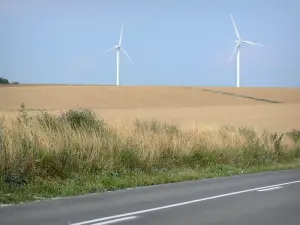 Landschaften der Picardie - Strasse, Wildblumen, Felder und Windräder