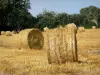 Landschaften der Picardie - Heuballen auf einem Acker