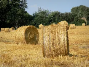 Landschaften der Picardie - Heuballen auf einem Acker