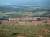 Landschaften der Provence - Von dem Berg Sainte-Victoire aus, Blick auf die Felder mit Rebstöcken (rote Erde), die Bäume und die Wälder