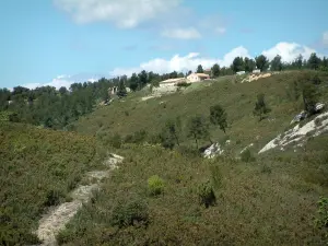 Landschaften der Provence - Häuser hochgestellt auf einen Hügel bedeckt mit Vegetation