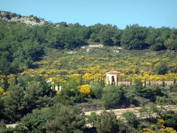 Landschaften der Provence - Gebäude, Bäume und Vegetation