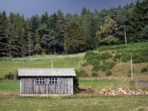 Landschaften des Puy-de-Dôme - Regionaler Naturpark Livradois-Forez: Holzhäuschen, Weide und Tannenwald