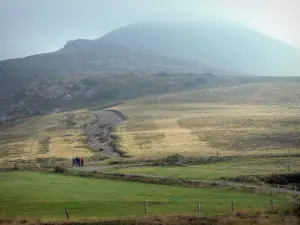 Landschaften des Puy-de-Dôme - Regionaler Naturpark der Vulkane der Auvergne: Weg gesäumt von Weideland, im Massiv des Sancy (Sancy-Massiv, Berge Dore)