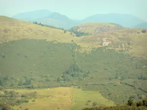 Landschaften des Puy-de-Dôme - Regionaler Naturpark der Vulkane der Auvergne: Berglandschaft