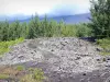 Landschaften der Réunion - Strasse des Lava - Nationalpark der Réunion: Lavastrom des Vulkans Piton de la Fornaise und Pflanzenwuchs des Grand Brûlé