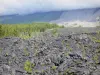 Landschaften der Réunion - Strasse des Lava - Nationalpark der Réunion: Lavastrom des Vulkans Piton de la Fournaise, Pflanzenwuchs des Grand Brûlé  und Grandes Pentes 