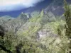 Landschaften der Réunion - Nationalpark der Réunion: wilde und grünende Landschaft entlang der Strasse von Cilaos