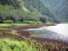 Landschaften der Réunion - Grosser Teich und seine grüne geschützte Natur; auf der Gemeinde Saint-Benoît