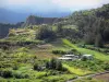 Landschaften der Réunion - Talkessel Cilaos - Nationalpark der Réunion: grünende Landschaft