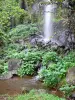 Landschaften der Réunion - Stätte der Bucht der Wasserfälle: kleiner Wasserfall mit grüner Natur