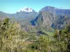 Landschaften der Réunion - Nationalpark der Réunion: Sicht auf die Bergspitze Anchaing inmitten des natürlichen Talkessels Salazie
