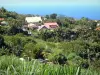 Landschaften der Réunion - Häuser umgeben von Grün, mit Aussicht auf den Indischen Ozean
