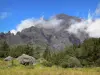 Landschaften der Réunion - Talkessel Mafate - Nationalpark der Réunion: Fusswanderung inmitten von Mafate, mit Blick auf den Grand Bénare