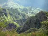Landschaften der Réunion - Nationalpark der Réunion: grünende Landschaft des natürlichen Talkessels Salazie
