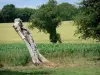Landschaften der Sarthe - Baumstamm eines abgestorbenen Baumes umgeben von Ackerland