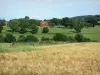 Landschaften der Sarthe - Weizenfeld vorne, und Haus umgeben von Bäumen und Wiesen