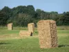 Landschaften der Sarthe - Heubündel auf einer Wiese