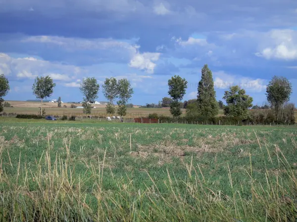 Landschaften der Vienne - Felder, Bäume, Bauernhöfe im Hintergrund, Wolken im Himmel