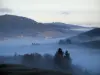 Landschappen - Heuvels, bomen en wolken